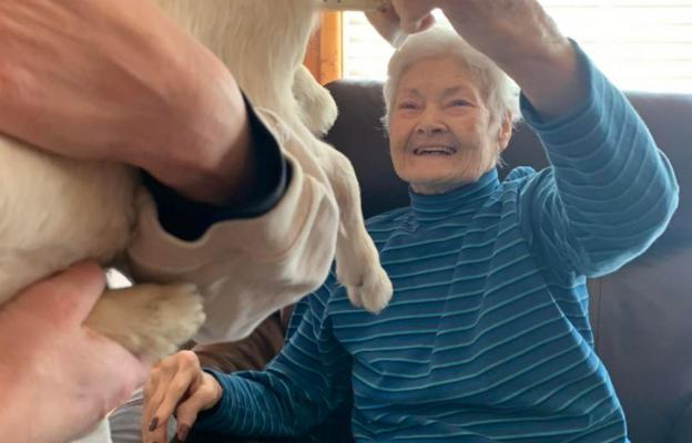 Pets play an important role at ComfrotCare Homes.