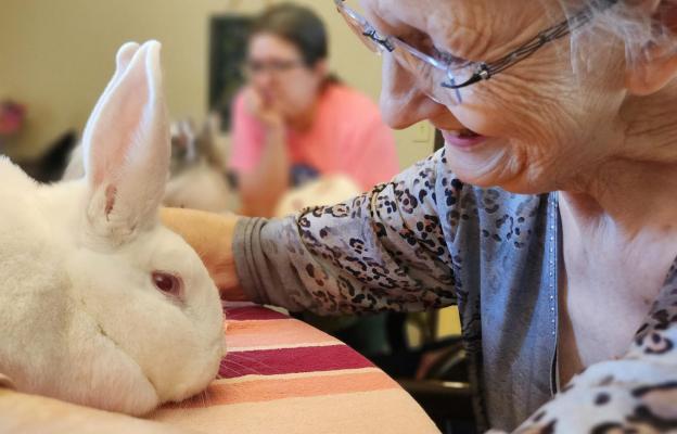 Pets play an important role at ComfrotCare Homes.
