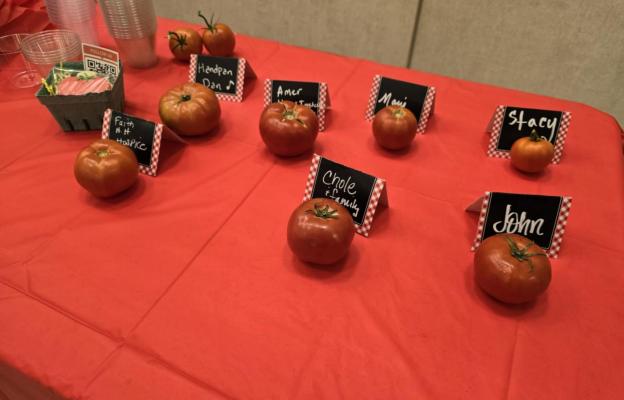 Tomato contest entries